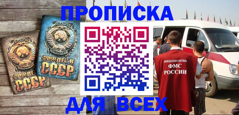 временная регистрация собственник в Партизанске